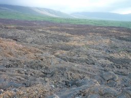 Visite de la petite cousine !